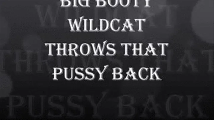 BIG BOOTY WILDCAT THROWS THAT PUSSY BACK