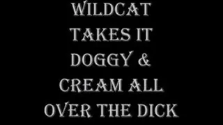 WILDCAT TAKES IT DOGGY AND CREAM ALL OVER THE DICK