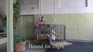 Bound for flight