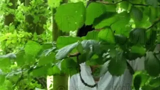 Grandfather fucks under cover of forest