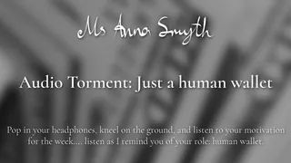 Audio Torment: Just a human wallet