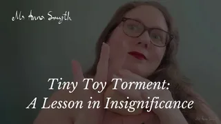 Tiny Toy Torment: A Lesson in Insignificance