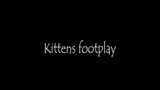 Kitten's footplay