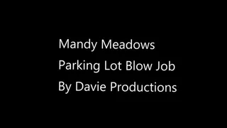 Mandy Meadows Car Blow Job