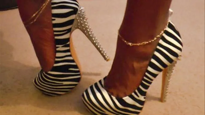 Zebra Stiletto Domination - Part 1