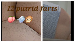 12 PUTRID FARTS