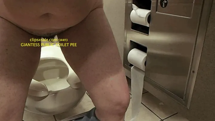 PUBLIC TOILET GIANTESS SPOILS HER TOILET SLAVES PEES ALL OVER THEM