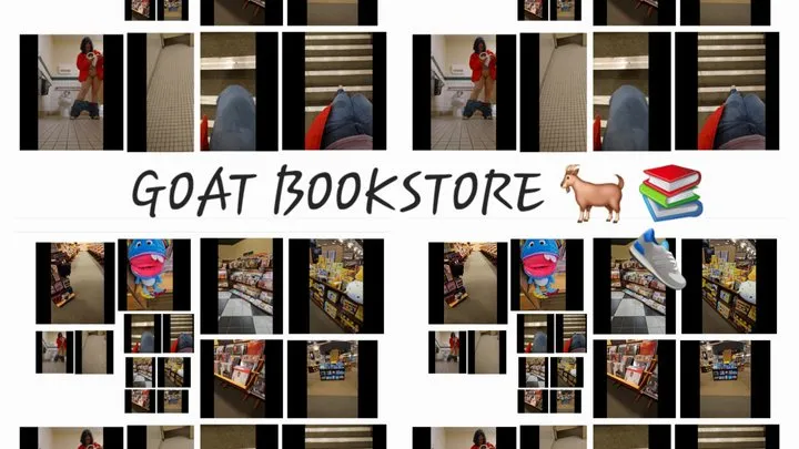 ASMR GOAT BOOKSTORE