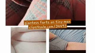 FARTING Giantess farts on tiny man