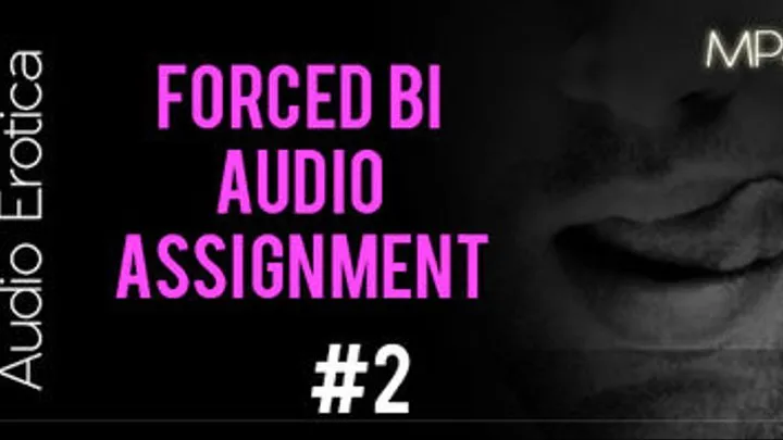 Bi Assignment 2 - Audio MP3