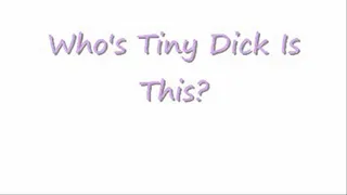 Who's Tiny Dick Is This? (quicktime)