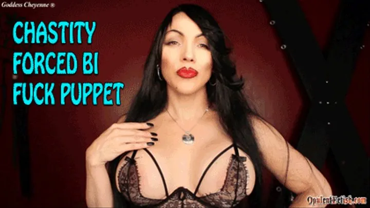 Chastity Bi Fuck Puppet