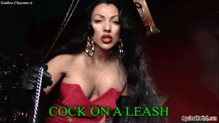 Cock on a Leash