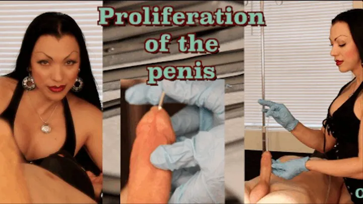 Proliferation of the penis