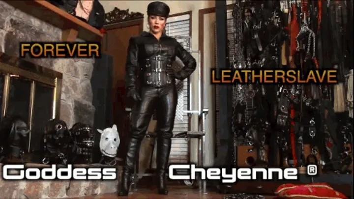 Forever LeatherSlave