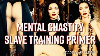 Mental Chastity Slave Training Primer