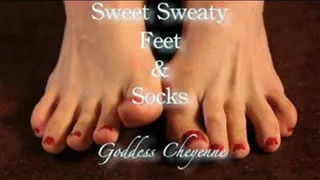 Sweet Sweaty Feet & Socks