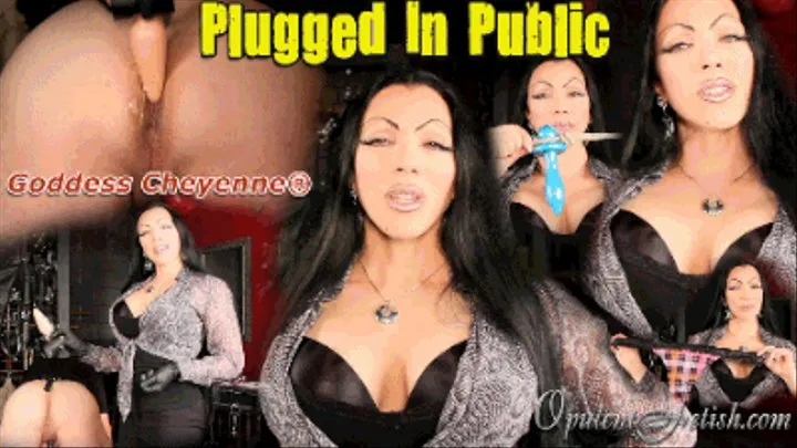 Plugged in Public ~ sissy Assignment