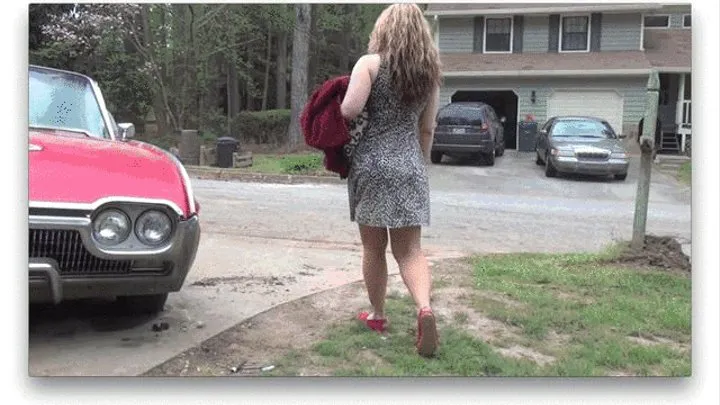 BabySitter's Stubborn TBird POV