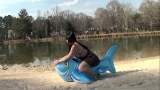 HD Beach Shark Bounce & Deflate