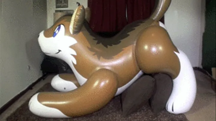 PuffyPaws Wolf Ride & Deflate