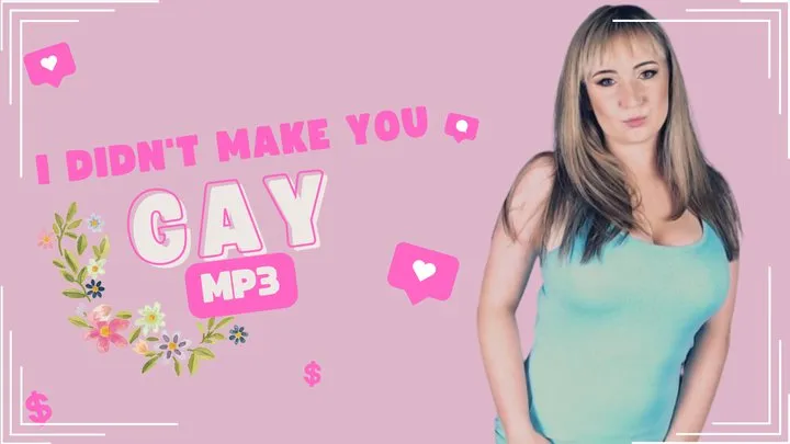 I didn't make you gay MP3