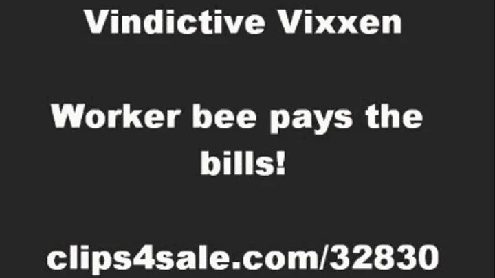 WORKER BEE PAYS BILLS