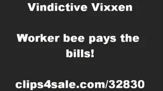 WORKER BEE PAYS BILLS