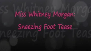 Whitneys Sneezing Foot Tease