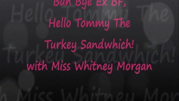 Tommy The Turkey Sandwich Vore