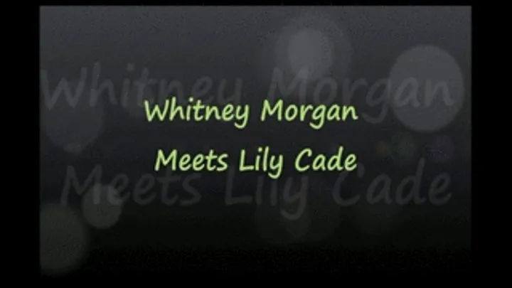 Whitney Morgan Meets Lily Cade XXX