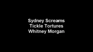 Sydney Screams Tickle Whitney Morgan