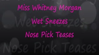 Miss Whitney: Wet Sneezes Nose Pick Teases