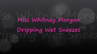 Miss Whitney Morgan's Dripping Wet Sneezes