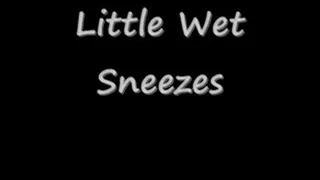 Lil Wet Sneezes