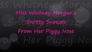 Whitney's Snotty Sneezes From Her Piggy Nose