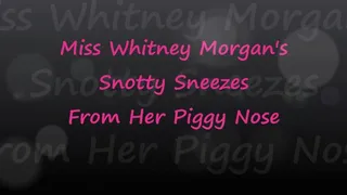 Whitney's Snotty Sneezes From Her Piggy Nose