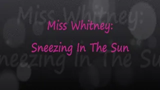 Miss Whitney Sneezing In The Sun