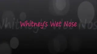 Whitney's Wet Nose Sneezes