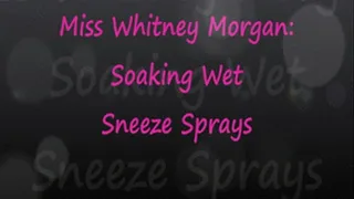 Miss Whitney: Soaking Wet Sneeze Sprays