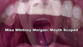 Miss Whitney Morgan Mouth Scoped