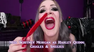 Whitney Morgan As Harley Quinn: Giggles and Sneezes