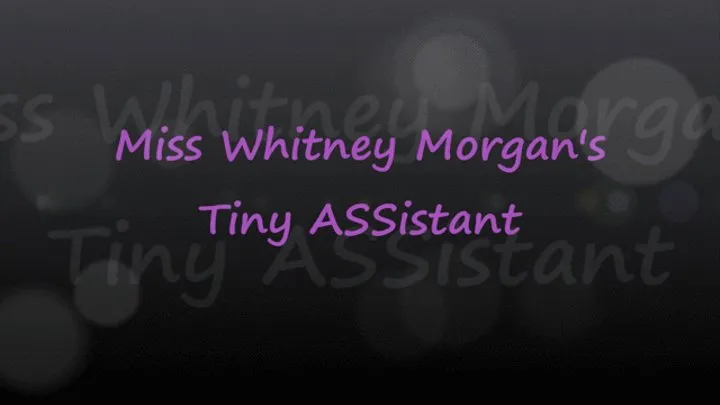 Miss Whitney Morgan's Tiny ASSistant