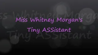 Miss Whitney Morgan's Tiny ASSistant