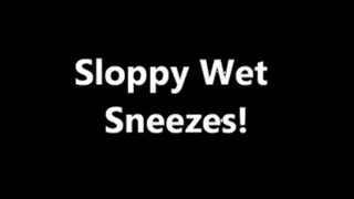 Sloppy Wet Sneezes