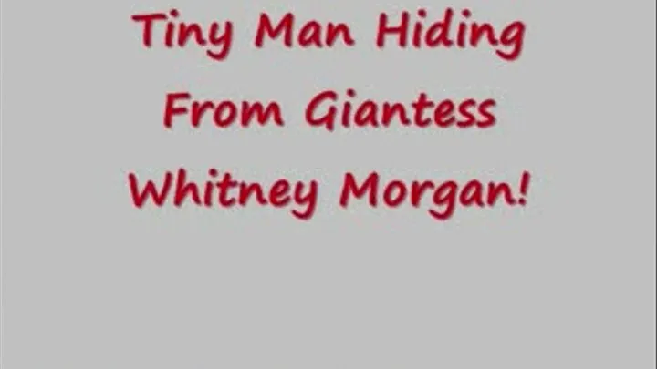 Tiny Man Hiding from Giantess Whitney Morgan