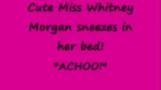 Sneezing in bed *achoo*