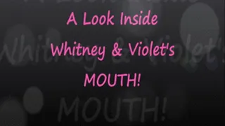 Whitney & Violet Mouth Tour