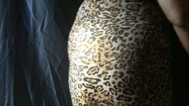 Bubbly Leopard Dress Farts