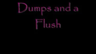 Dumps and a Flush DIALUP